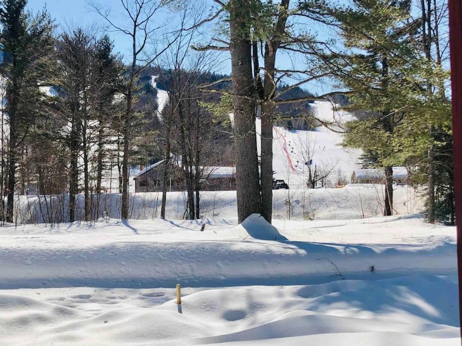 Attitash Mountain Village Studio - Slope View - Ski - Storyland Bartlett Kültér fotó